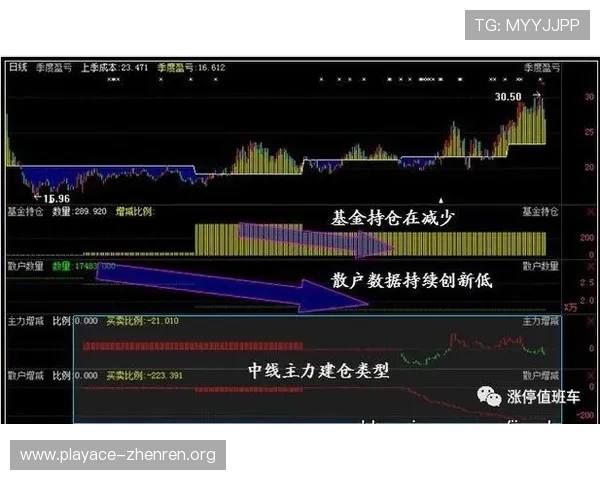 全网最新投注返水攻略详解教你稳健盈利技巧