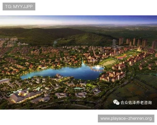 以TC集团为核心构建未来产业协同发展的创新生态体系研究路径探索研究